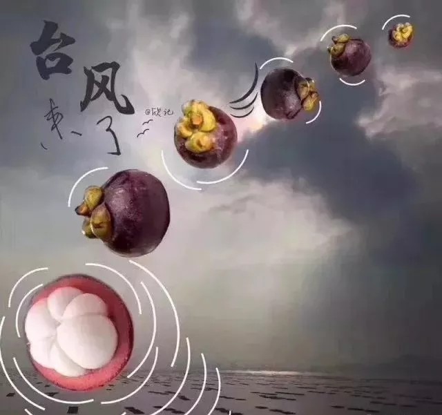 臺風無情人有情，應對臺風“山竹”，我們團結一心。