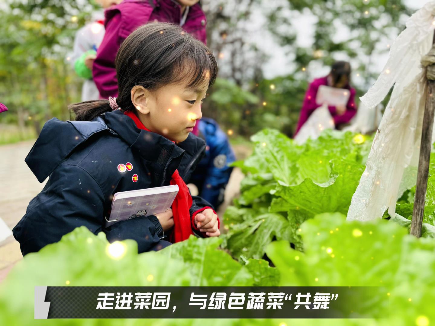 美好學(xué)校|留校時(shí)光，走出教室，與綠色蔬菜共舞